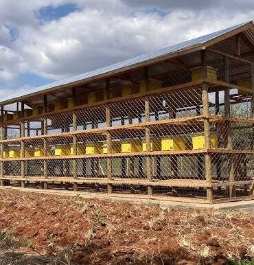 50–Langstroth Hive Apiary Setup Investment Budget Planner